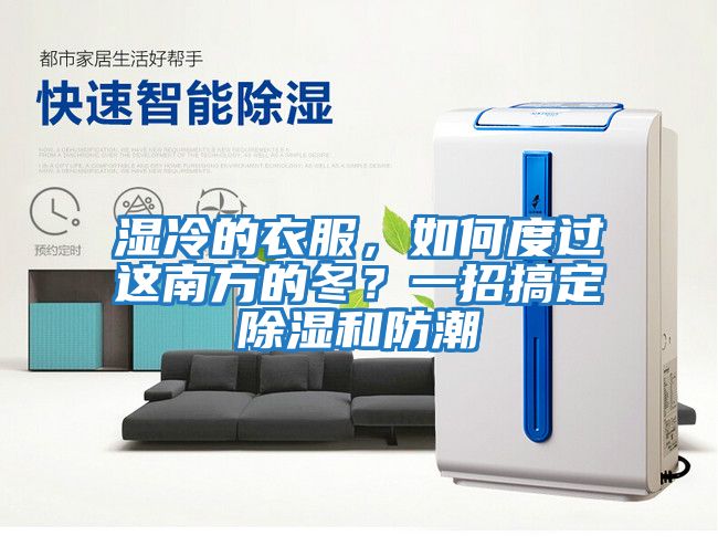 濕冷的衣服，如何度過這南方的冬？一招搞定除濕和防潮
