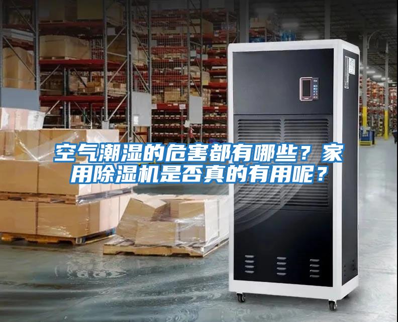 空氣潮濕的危害都有哪些？家用除濕機是否真的有用呢？