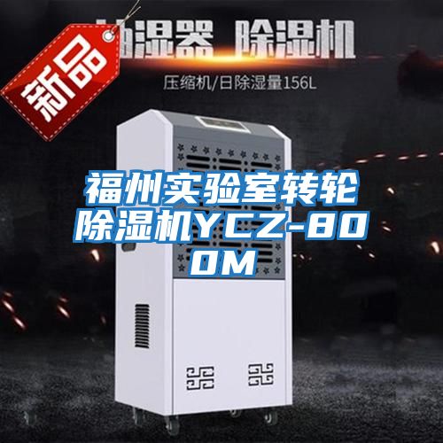 福州實驗室轉(zhuǎn)輪除濕機(jī)YCZ-800M