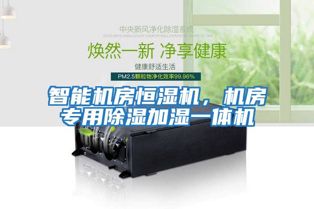 智能機(jī)房恒濕機(jī)，機(jī)房專用除濕加濕一體機(jī)