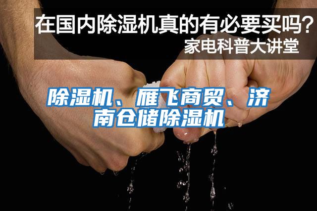 除濕機(jī)、雁飛商貿(mào)、濟(jì)南倉儲(chǔ)除濕機(jī)