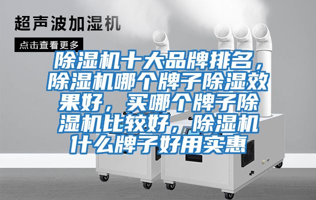 除濕機十大品牌排名，除濕機哪個牌子除濕效果好，買哪個牌子除濕機比較好，除濕機什么牌子好用實惠