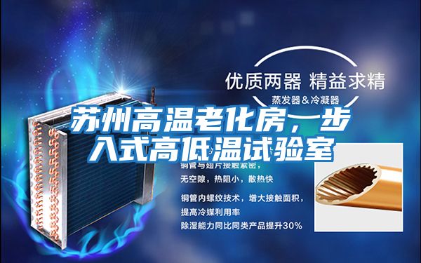 蘇州高溫老化房，步入式高低溫試驗(yàn)室