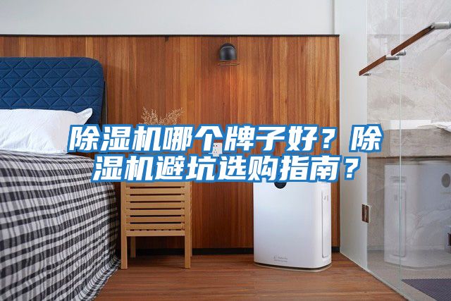 除濕機哪個牌子好？除濕機避坑選購指南？