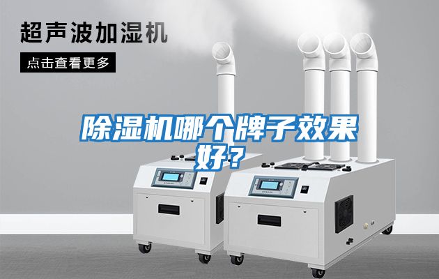 除濕機哪個牌子效果好？