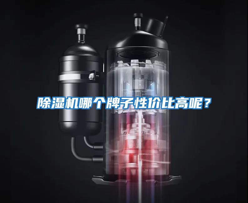 除濕機哪個牌子性價比高呢？