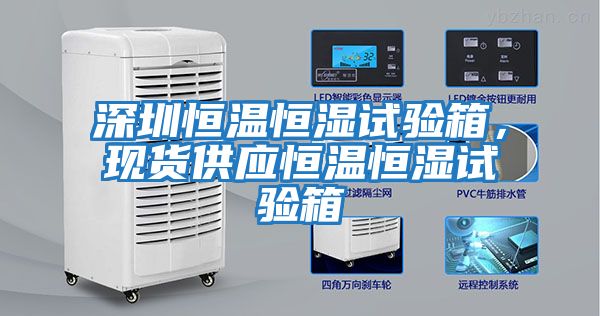 深圳恒溫恒濕試驗箱，現(xiàn)貨供應(yīng)恒溫恒濕試驗箱