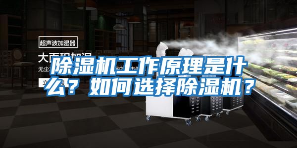 除濕機工作原理是什么？如何選擇除濕機？