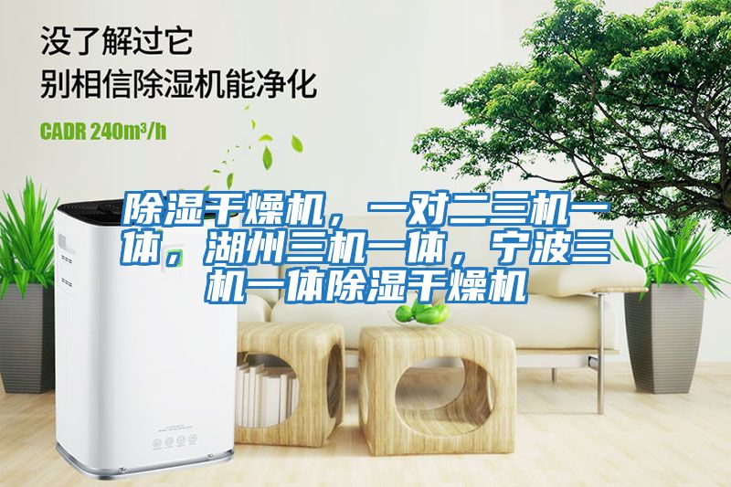 除濕干燥機,一對二三機一體,湖州三機一體,寧波三機一體除濕干燥機