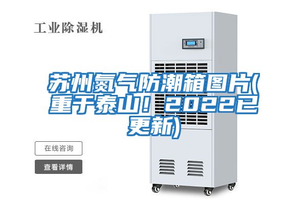 蘇州氮氣防潮箱圖片(重于泰山！2022已更新)
