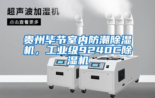 貴州畢節(jié)室內(nèi)防潮除濕機，工業(yè)級9240C除濕機