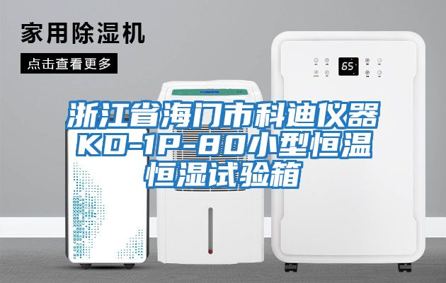 浙江省海門市科迪儀器KD-1P-80小型恒溫恒濕試驗(yàn)箱