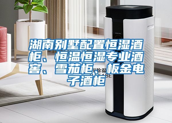 湖南別墅配置恒濕酒柜、恒溫恒濕專業酒窖、雪茄柜、板金電子酒柜
