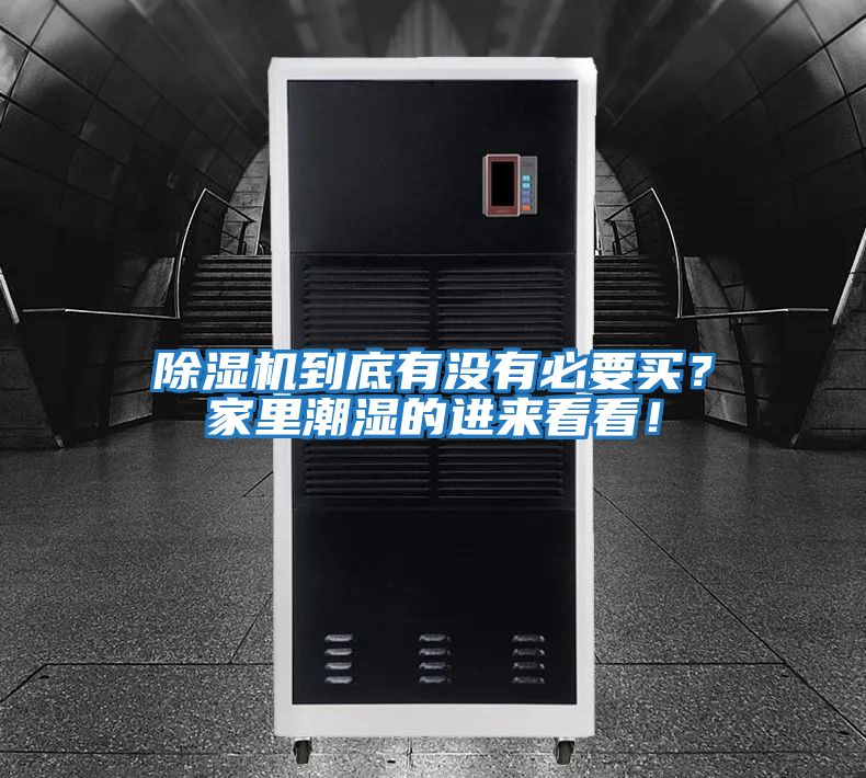 除濕機(jī)到底有沒(méi)有必要買？家里潮濕的進(jìn)來(lái)看看！