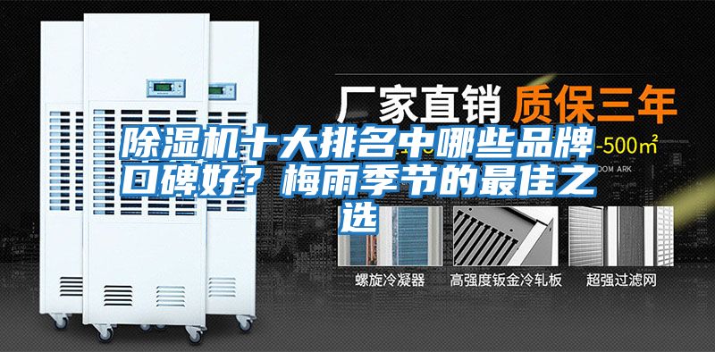 除濕機十大排名中哪些品牌口碑好？梅雨季節的最佳之選