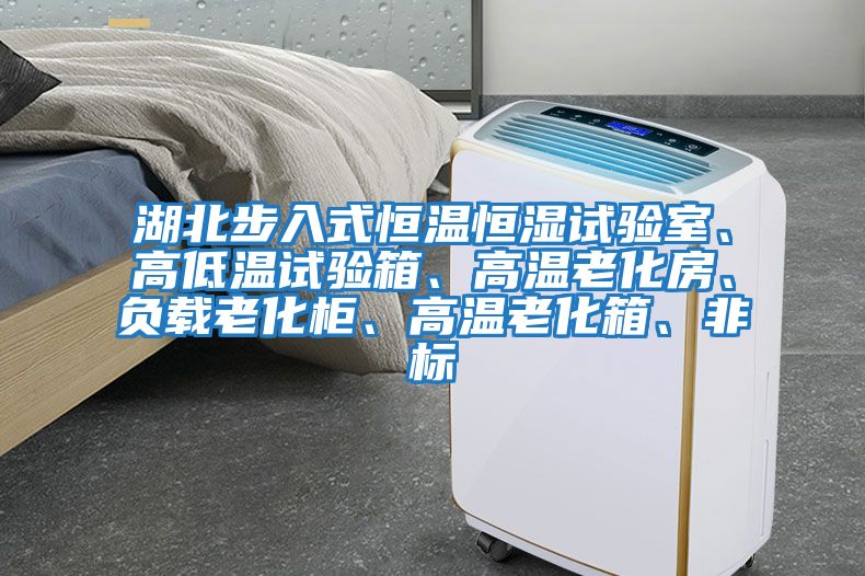 湖北步入式恒溫恒濕試驗室、高低溫試驗箱、高溫老化房、負載老化柜、高溫老化箱、非標