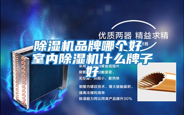 除濕機品牌哪個好 室內除濕機什么牌子好