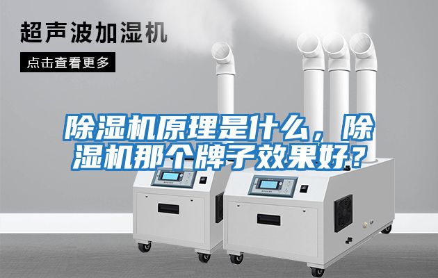 除濕機(jī)原理是什么，除濕機(jī)那個(gè)牌子效果好？