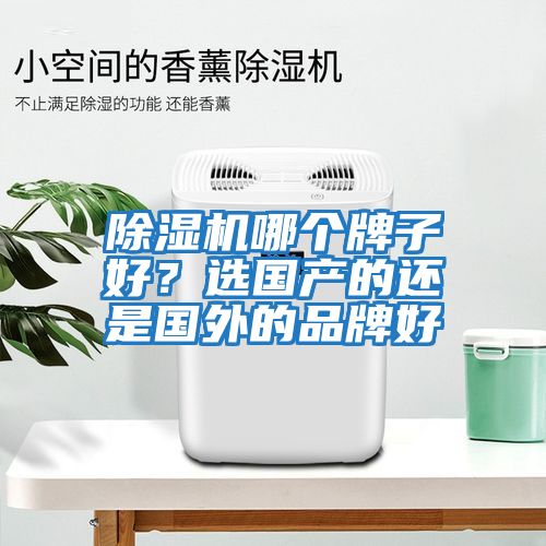 除濕機哪個牌子好？選國產(chǎn)的還是國外的品牌好