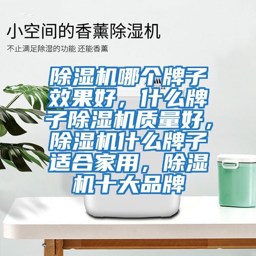 除濕機哪個牌子效果好，什么牌子除濕機質量好，除濕機什么牌子適合家用，除濕機十大品牌