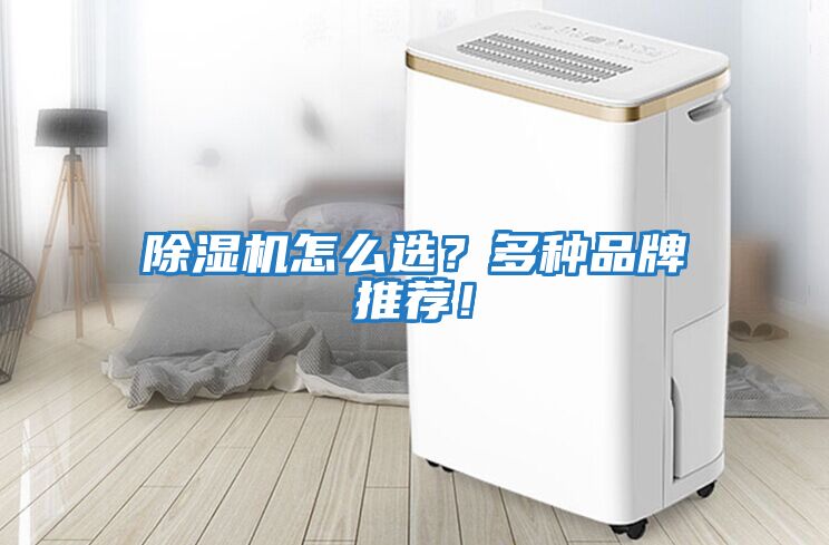 除濕機怎么選？多種品牌推薦！