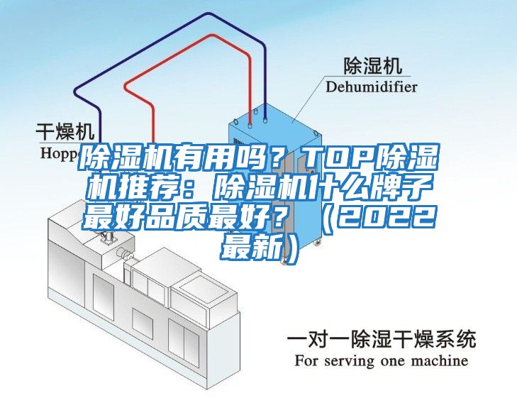 除濕機有用嗎？TOP除濕機推薦：除濕機什么牌子最好品質最好？（2022最新）