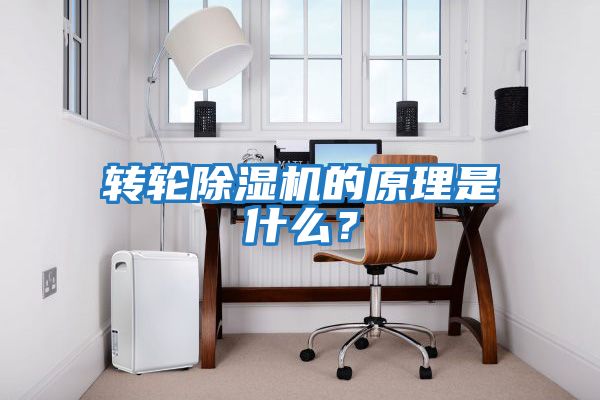 轉(zhuǎn)輪除濕機的原理是什么？