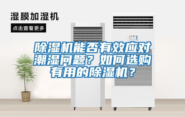 除濕機能否有效應對潮濕問題？如何選購有用的除濕機？
