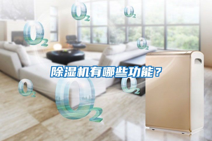除濕機有哪些功能？