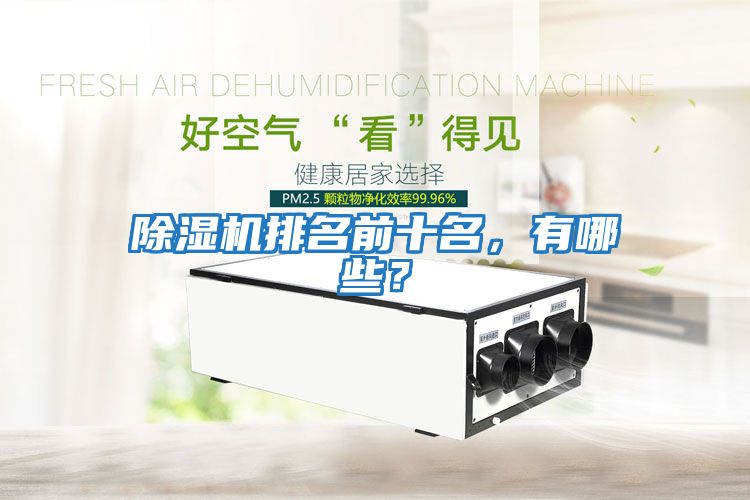 除濕機(jī)排名前十名，有哪些？