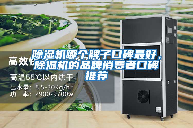 除濕機哪個牌子口碑最好，除濕機的品牌消費者口碑推薦