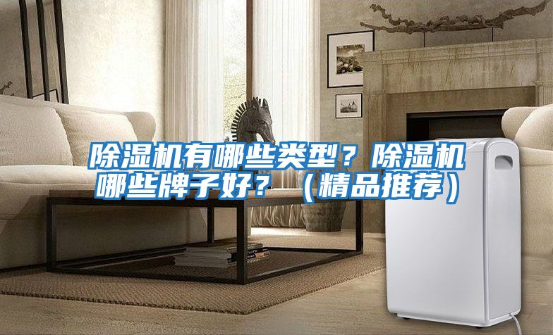 除濕機有哪些類型？除濕機哪些牌子好？（精品推薦）