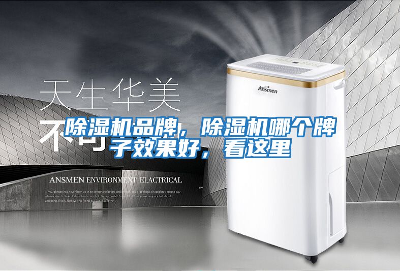 除濕機品牌，除濕機哪個牌子效果好，看這里