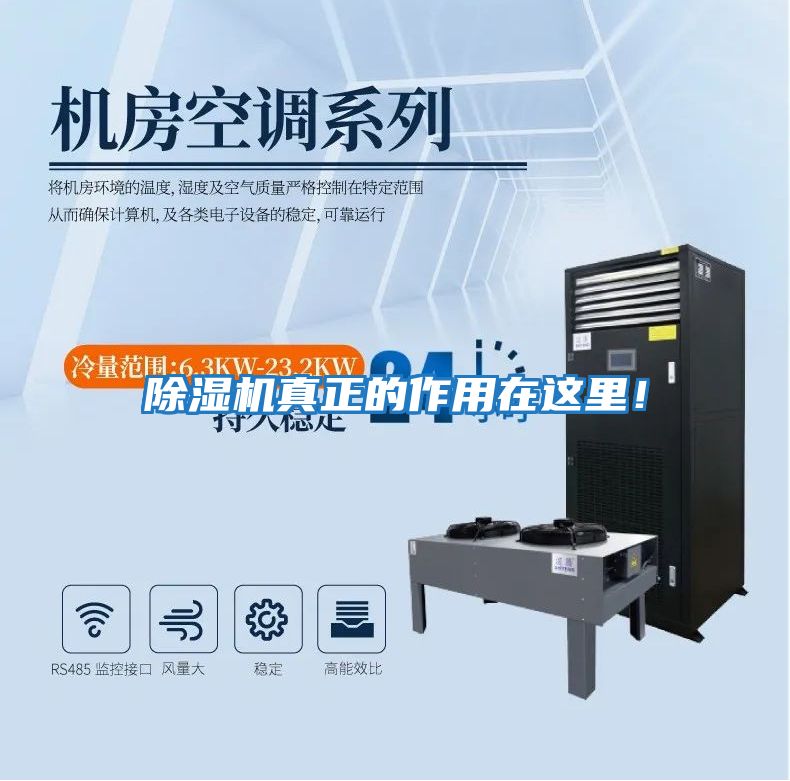 除濕機真正的作用在這里！