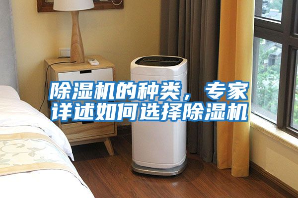 除濕機的種類，專家詳述如何選擇除濕機