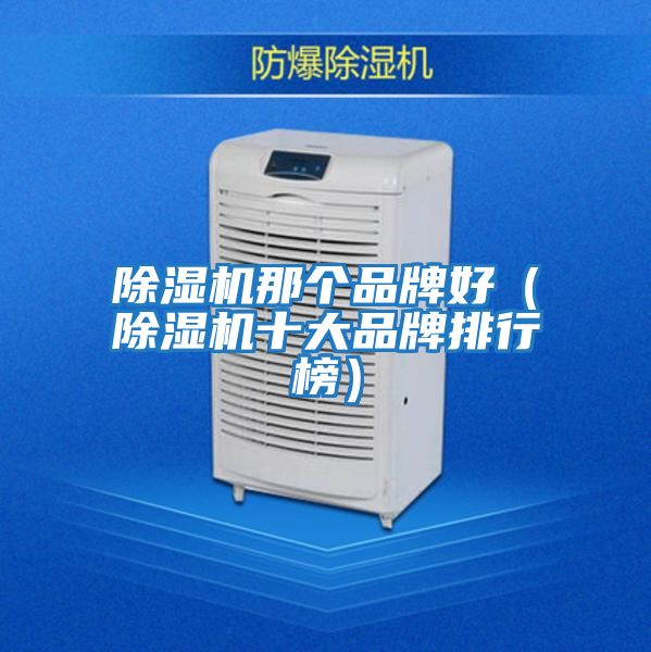除濕機(jī)那個(gè)品牌好(除濕機(jī)十大品牌排行榜)