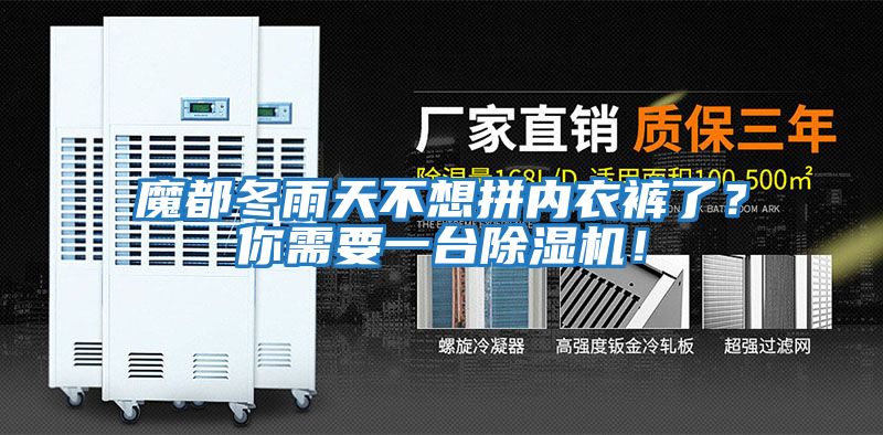 魔都冬雨天不想拼內衣褲了？你需要一臺除濕機！