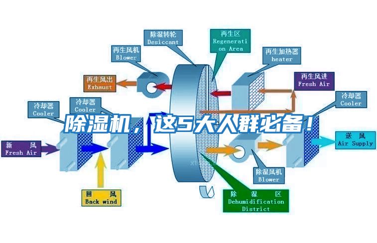 除濕機，這5大人群必備！