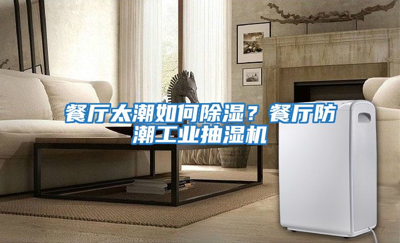 餐廳太潮如何除濕？餐廳防潮工業(yè)抽濕機