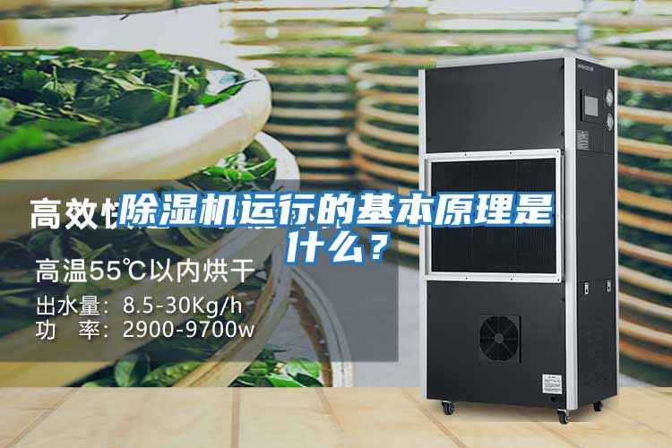 除濕機運行的基本原理是什么？