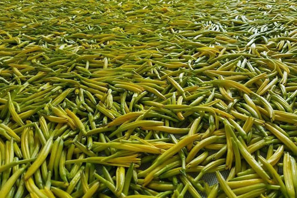 無硫金針菜烘干如何保持品相？不發黑？_除濕機廠家