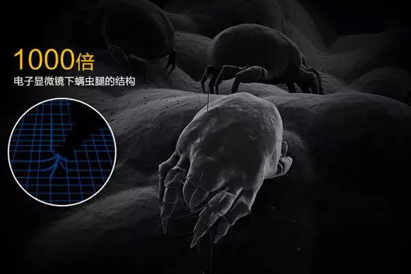 螨蟲高發(fā)季，家用除濕機除螨有妙計！